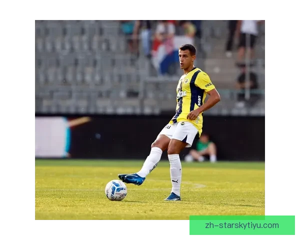 塔利斯卡降薪续约费内巴切两年